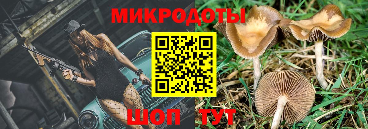 Галлюциногенные грибы Psilocybe Кимовск